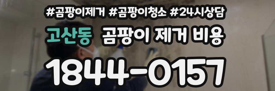 고산동 곰팡이 제거 비용