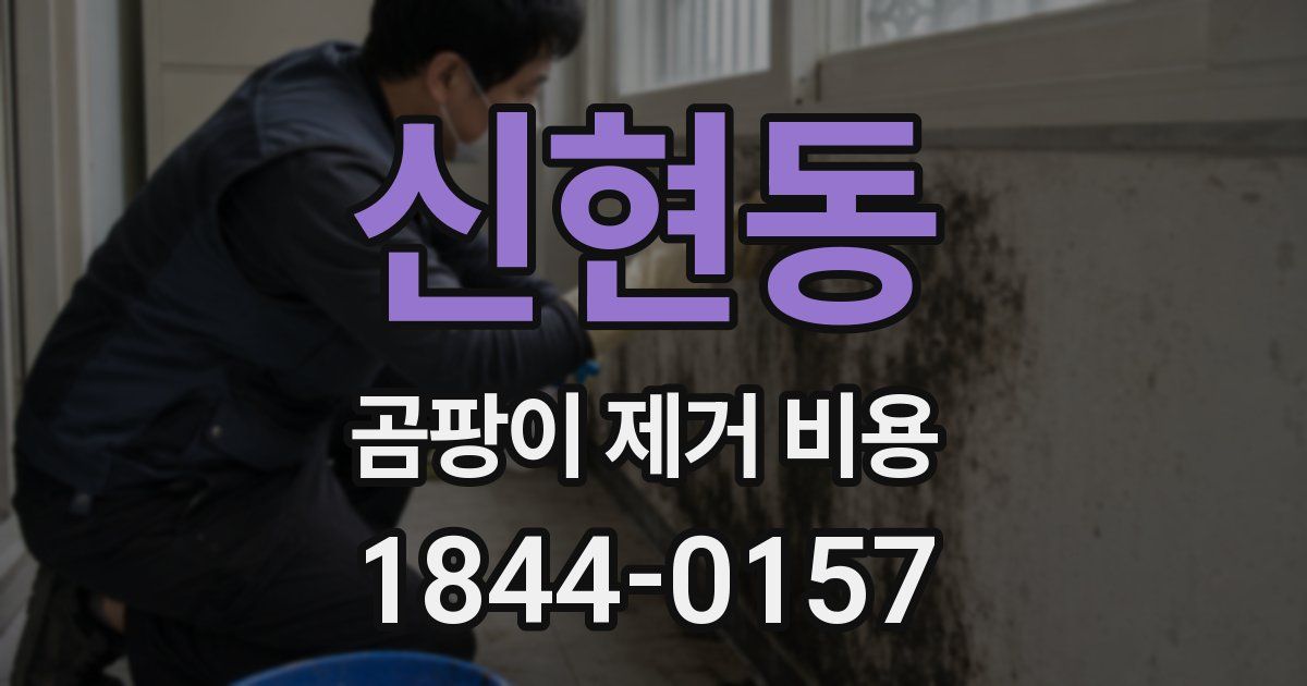 신현동 곰팡이 제거 비용