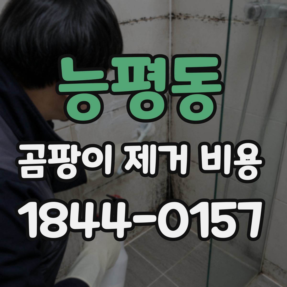능평동 곰팡이 제거 비용