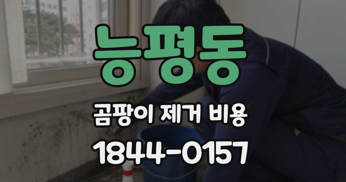 능평동 곰팡이 제거 비용