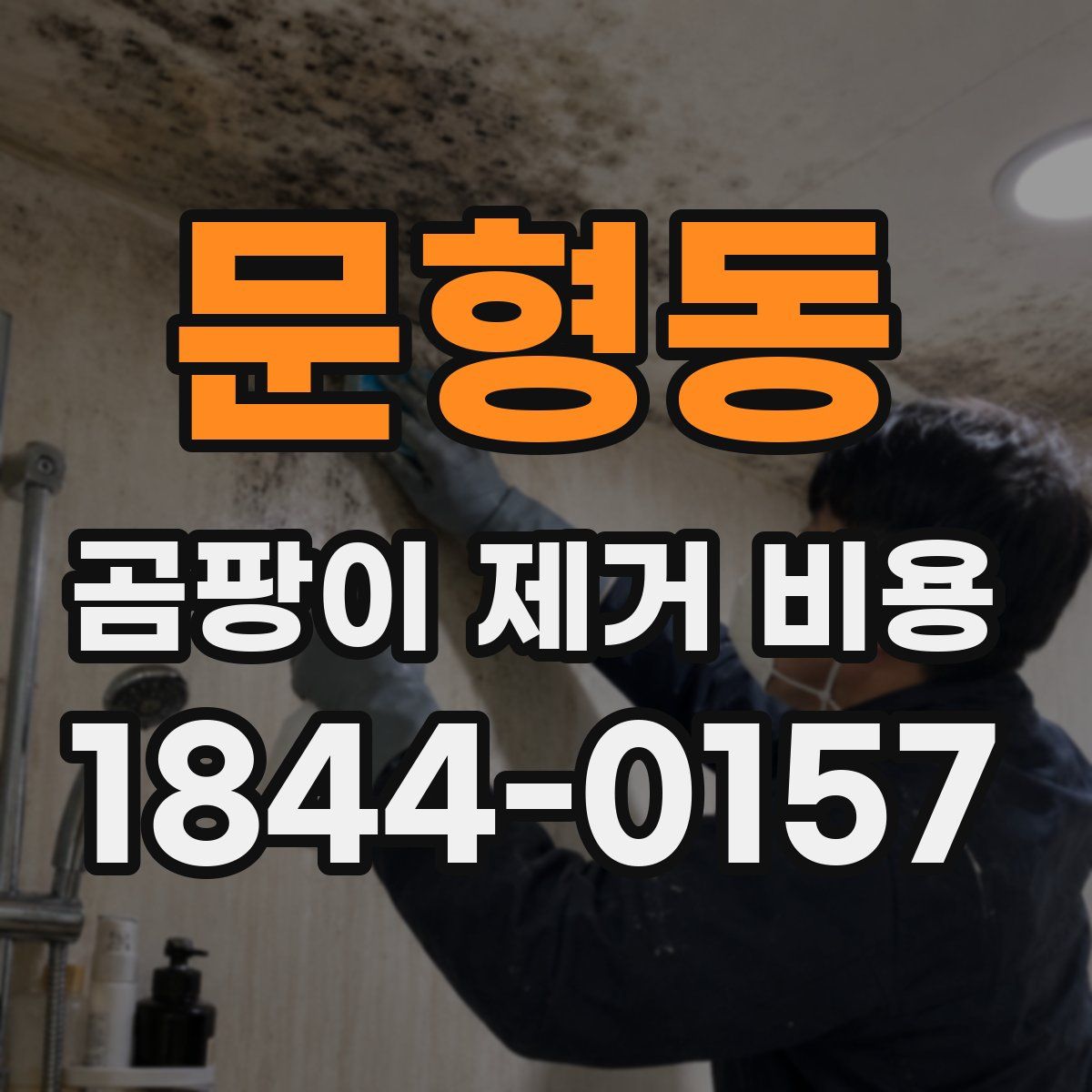 문형동 곰팡이 제거 비용