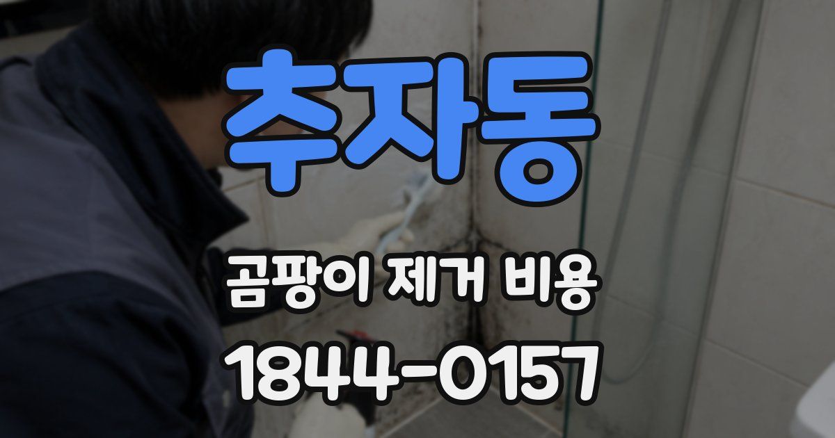 추자동 곰팡이 제거 비용