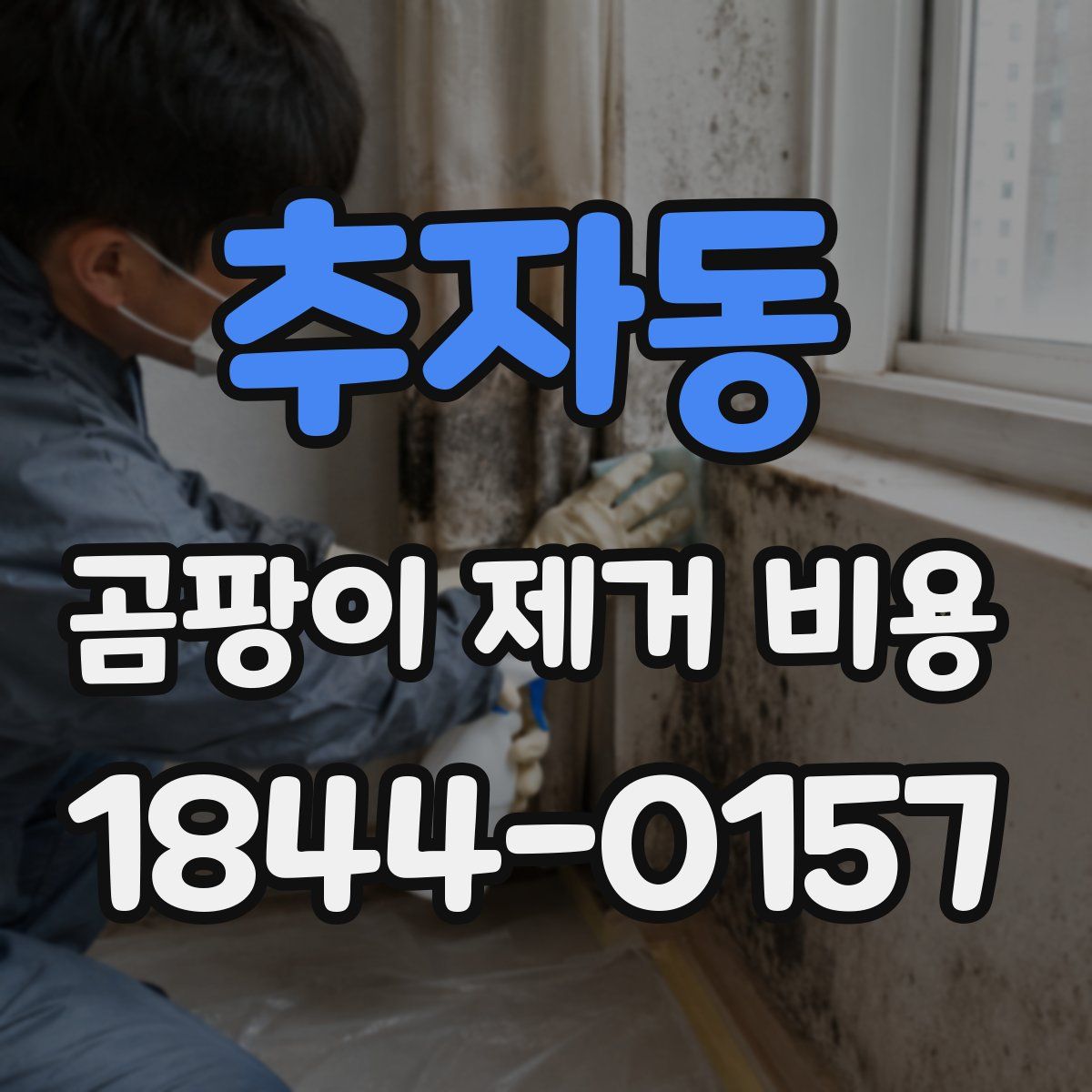 추자동 곰팡이 제거 비용