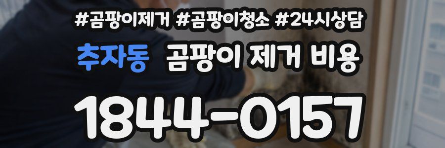 추자동 곰팡이 제거 비용