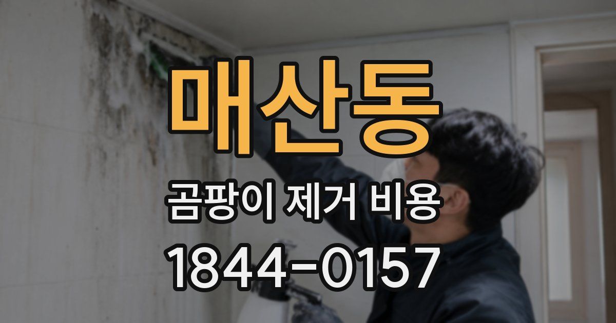매산동 곰팡이 제거 비용
