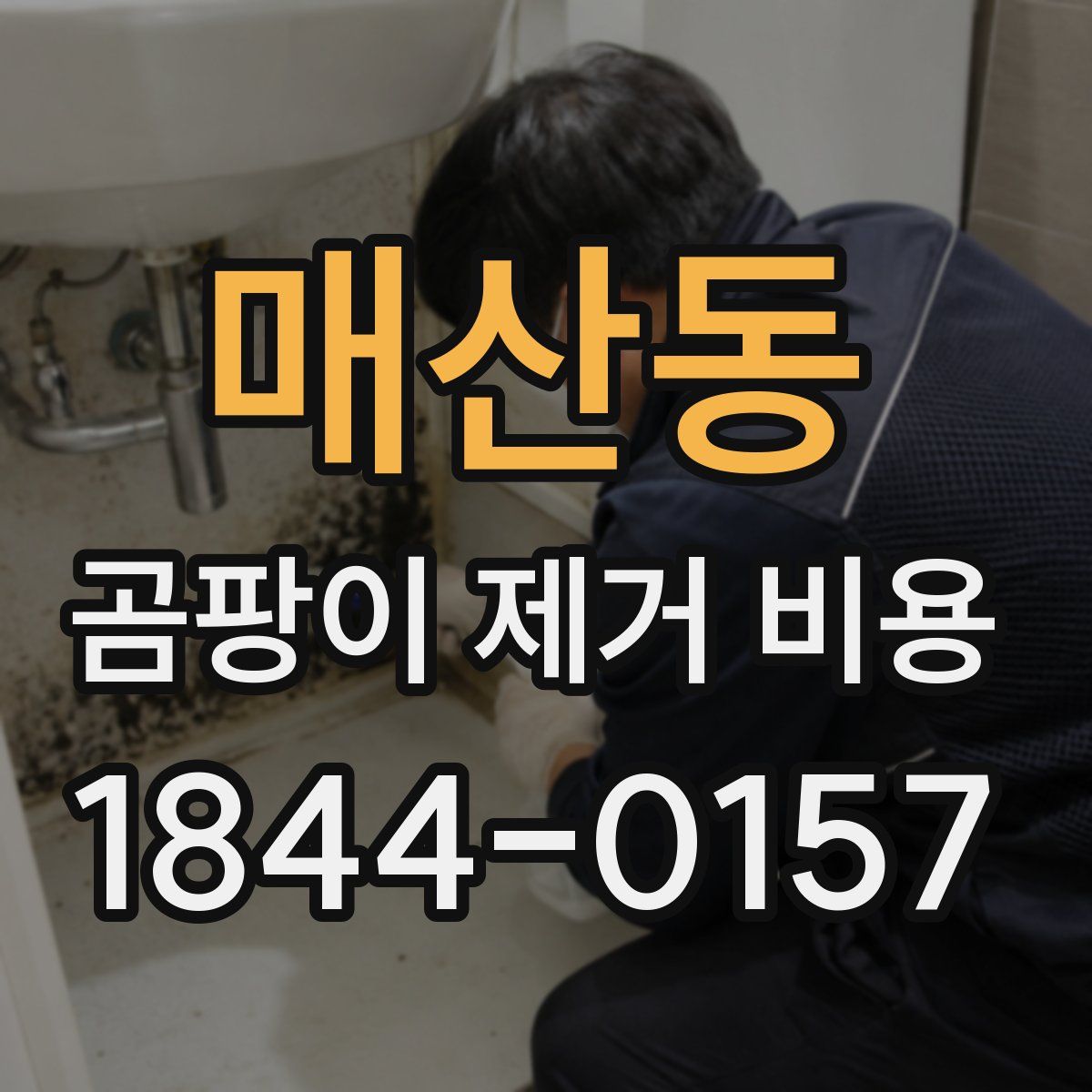 매산동 곰팡이 제거 비용