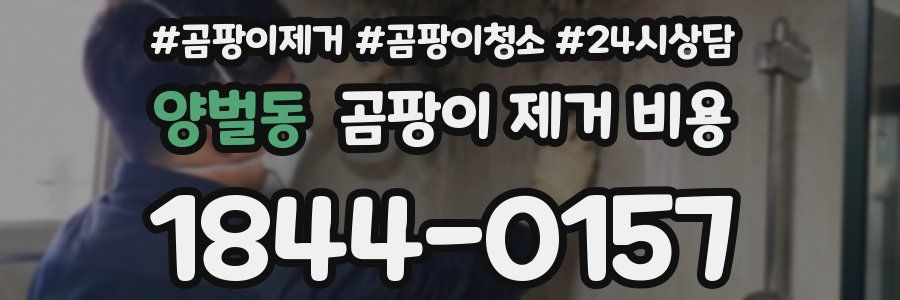 양벌동 곰팡이 제거 비용