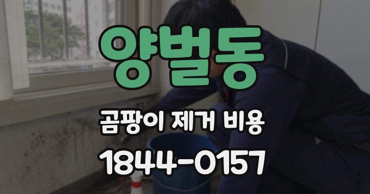 양벌동 곰팡이 제거 비용