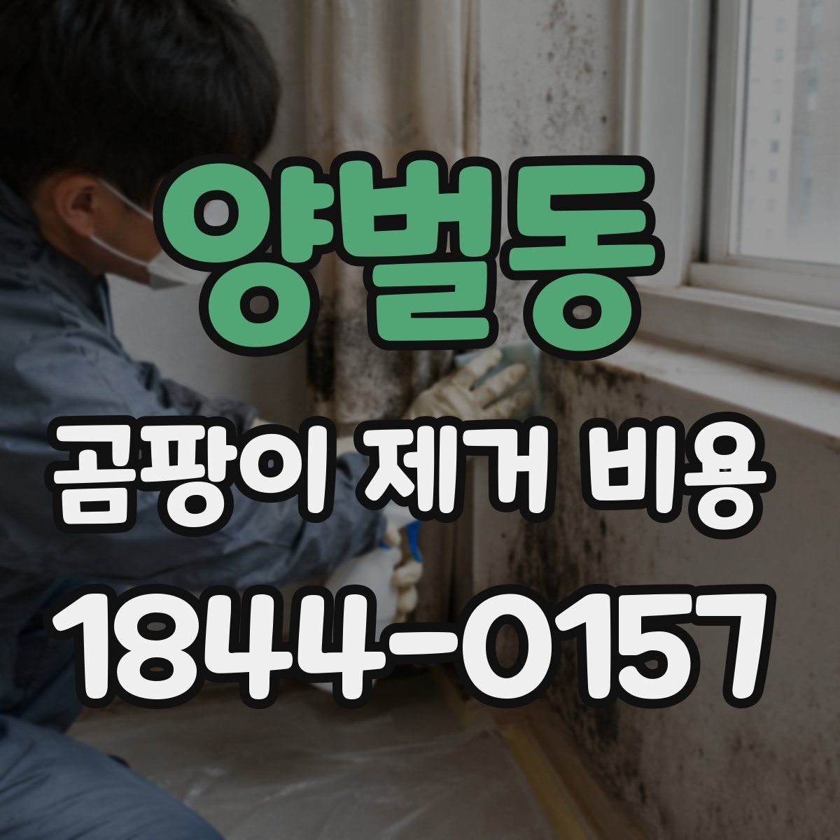 양벌동 곰팡이 제거 비용