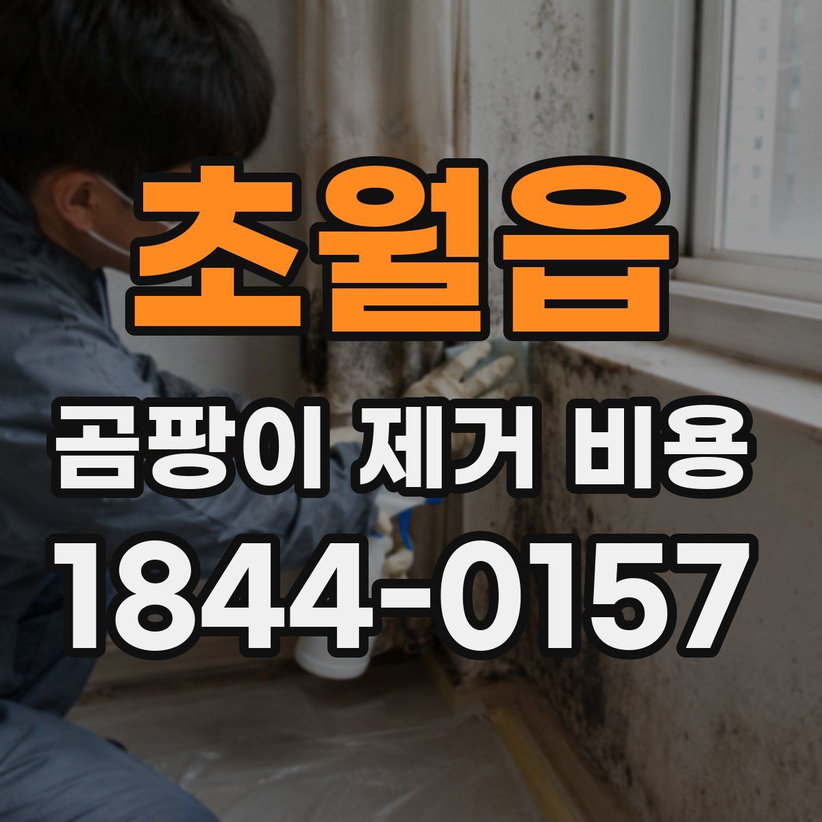 초월읍 곰팡이 제거 비용