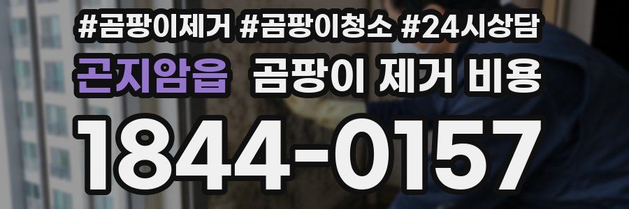곤지암읍 곰팡이 제거 비용