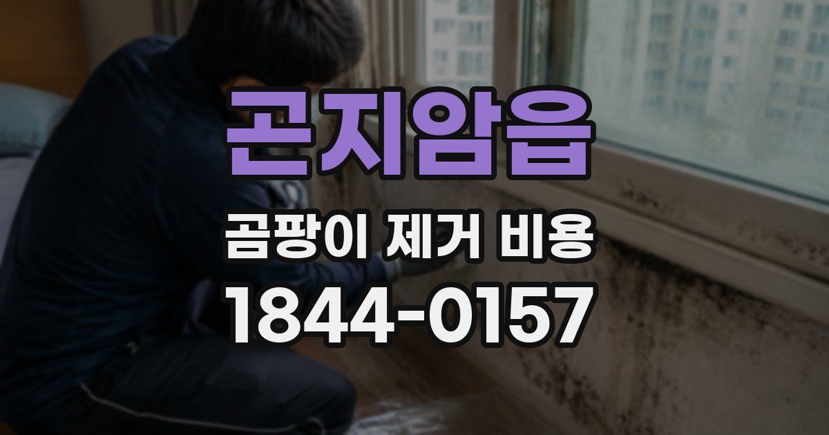 곤지암읍 곰팡이 제거 비용