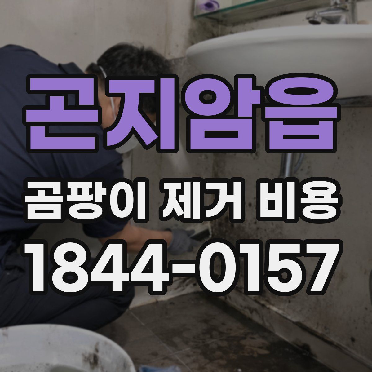 곤지암읍 곰팡이 제거 비용