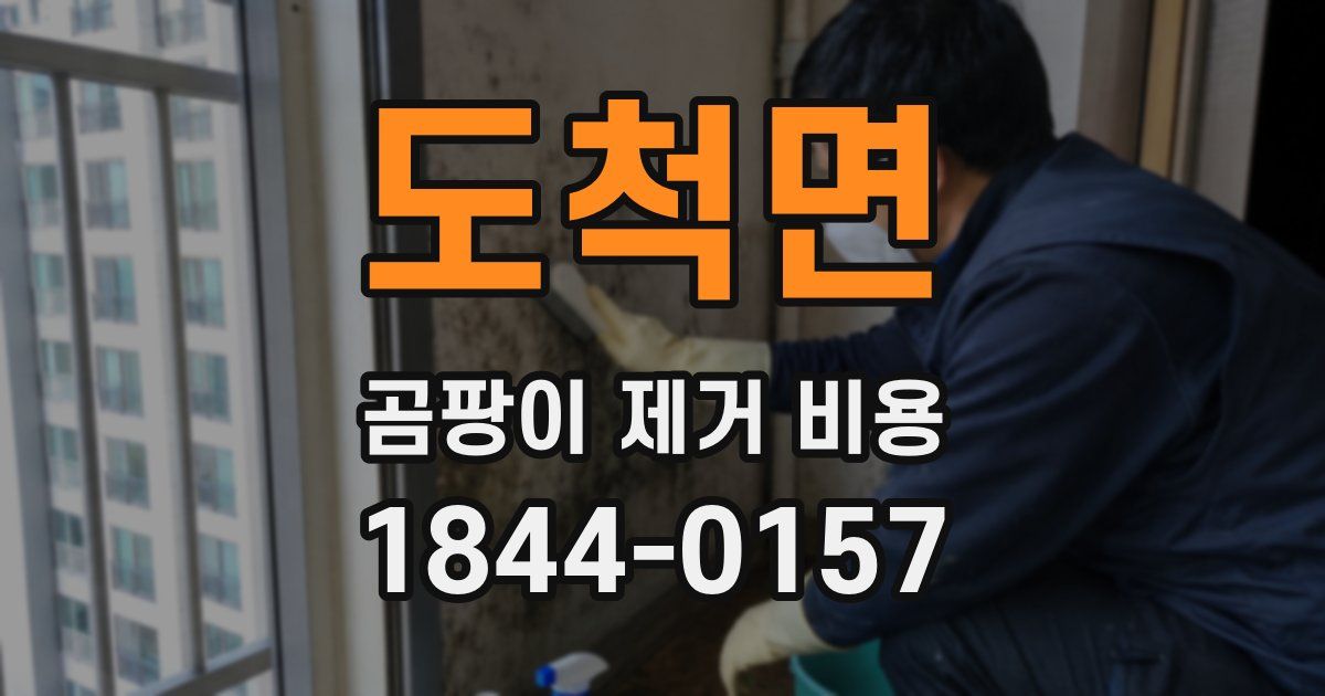 도척면 곰팡이 제거 비용