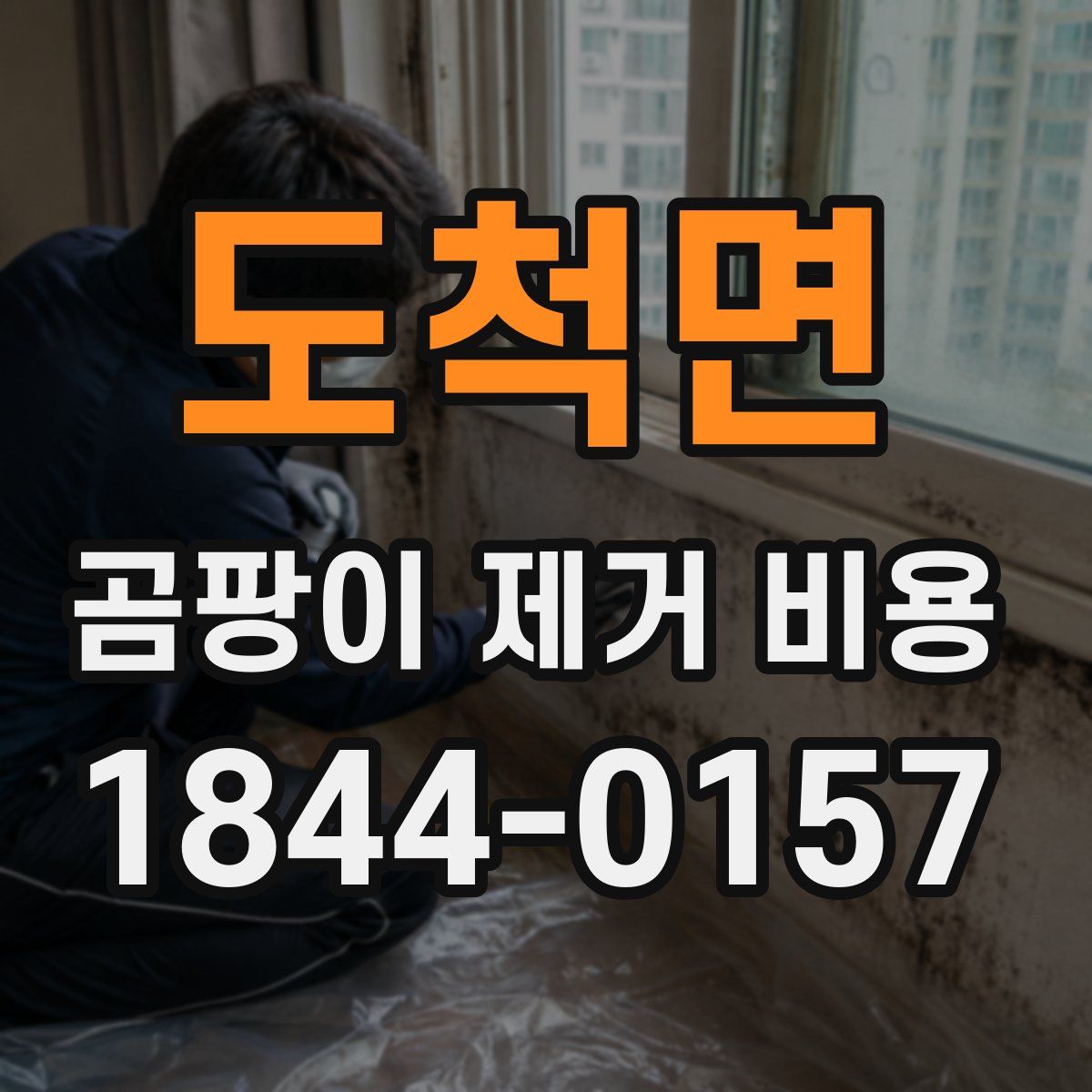 도척면 곰팡이 제거 비용