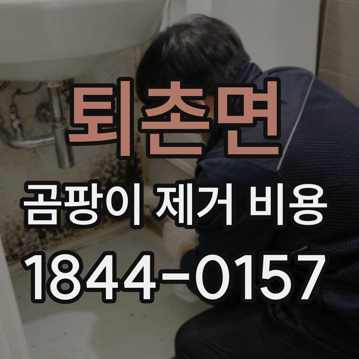 퇴촌면 곰팡이 제거 비용
