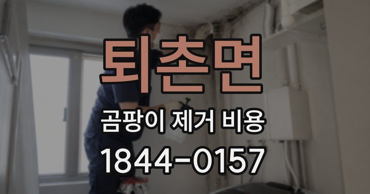 퇴촌면 곰팡이 제거 비용