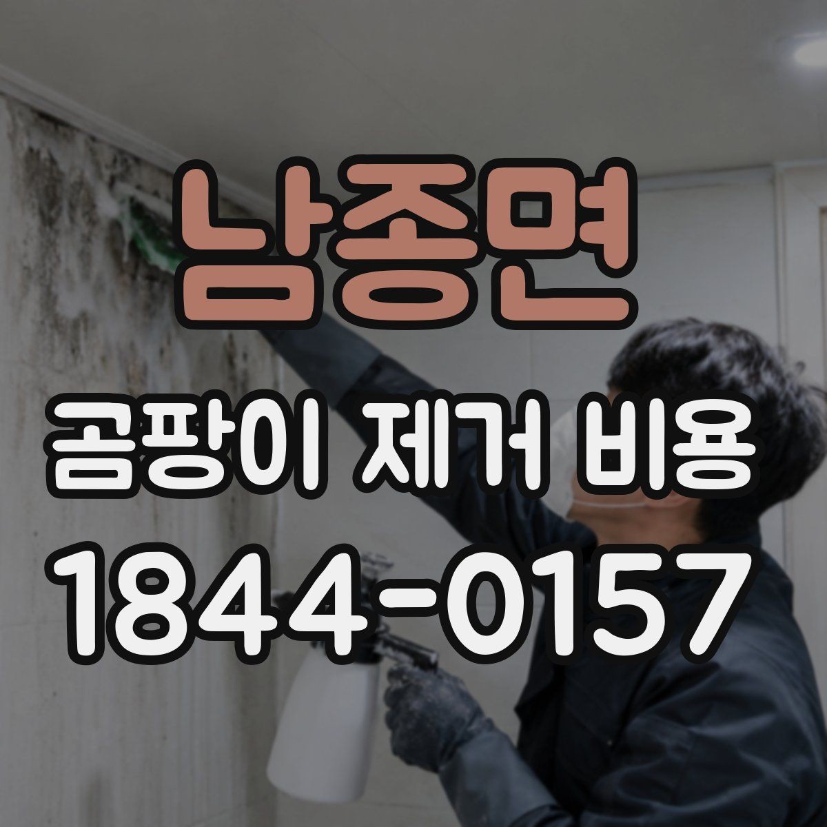 남종면 곰팡이 제거 비용 오염 범위가 넓어질수록 달라지는 기준