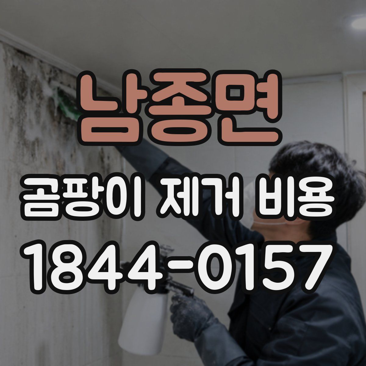남종면 곰팡이 제거 비용