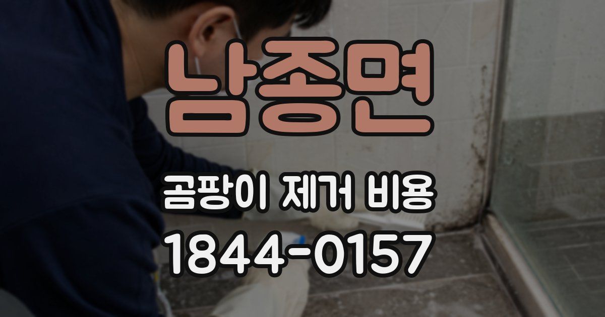 남종면 곰팡이 제거 비용