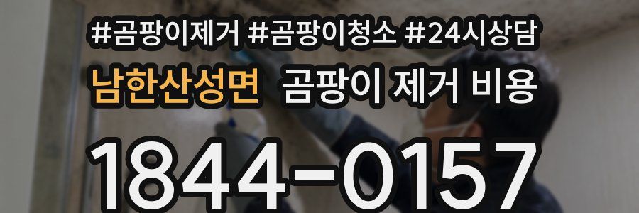 남한산성면 곰팡이 제거 비용