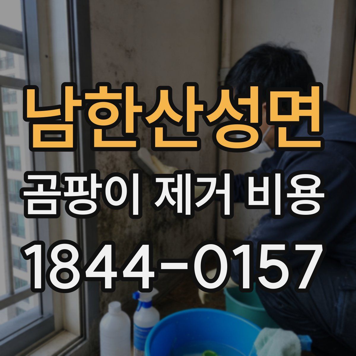 남한산성면 곰팡이 제거 비용