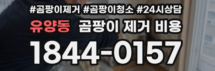 유양동 곰팡이 제거 비용