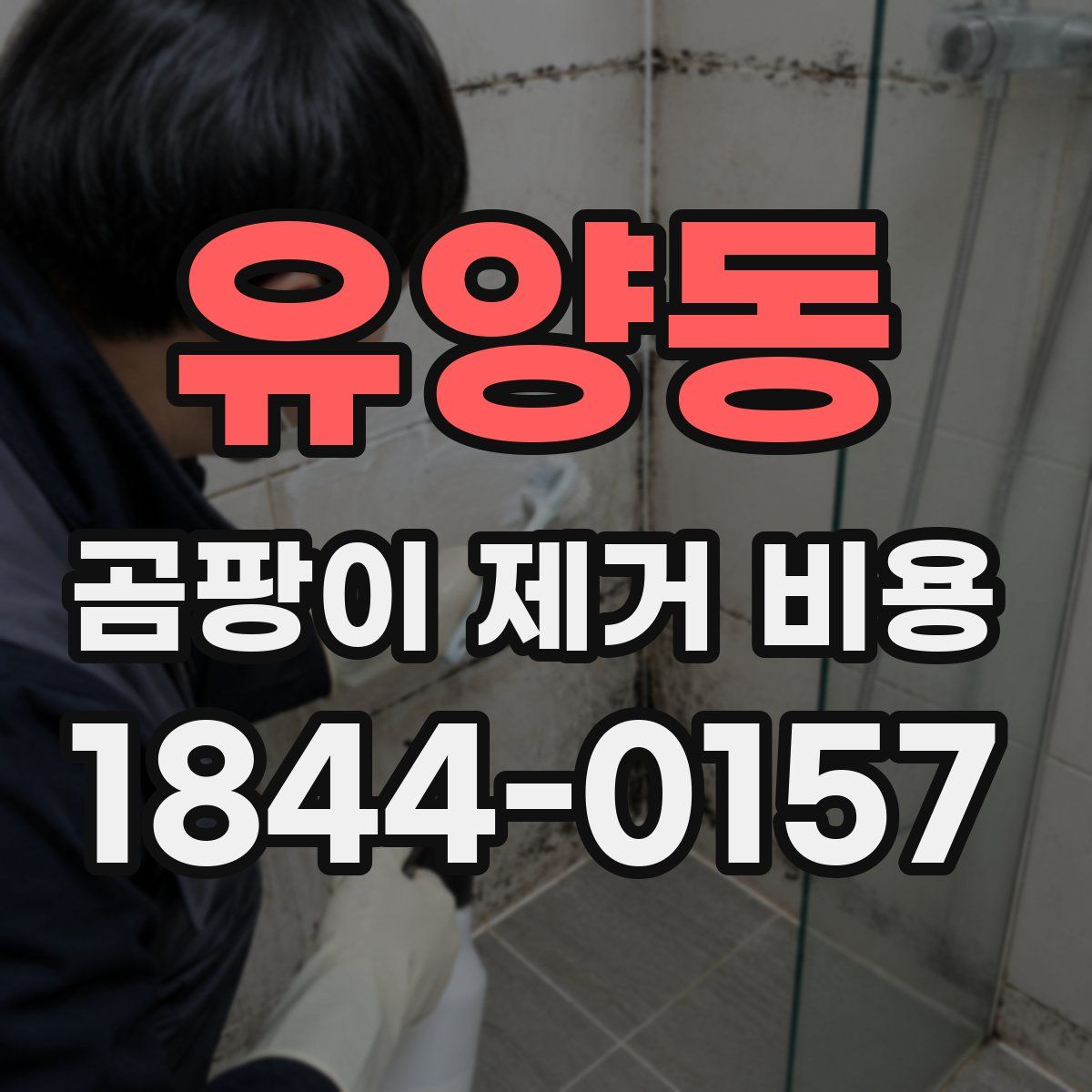 유양동 곰팡이 제거 비용