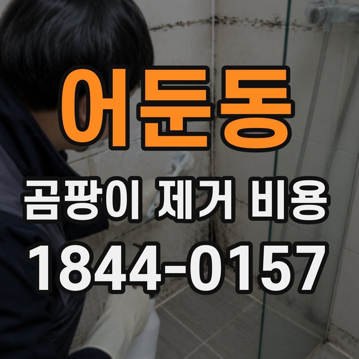 어둔동 곰팡이 제거 비용 계절에 따라 달라지는 작업 범위