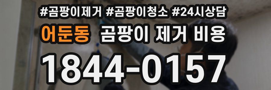 어둔동 곰팡이 제거 비용