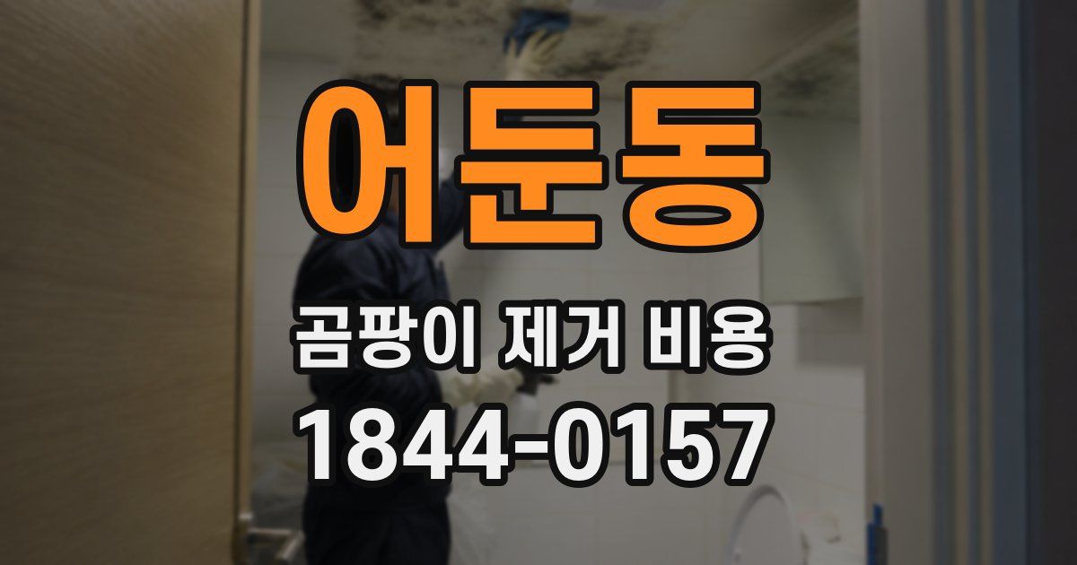 어둔동 곰팡이 제거 비용