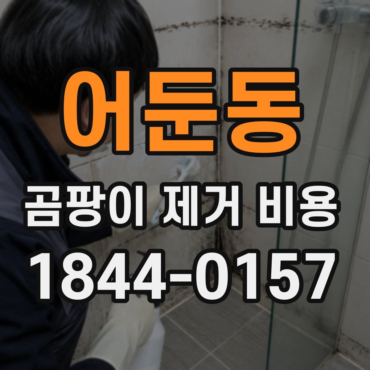 어둔동 곰팡이 제거 비용