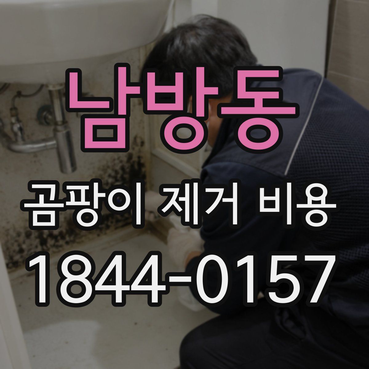 남방동 곰팡이 제거 비용