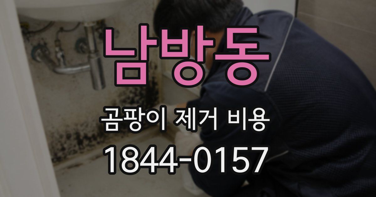 남방동 곰팡이 제거 비용