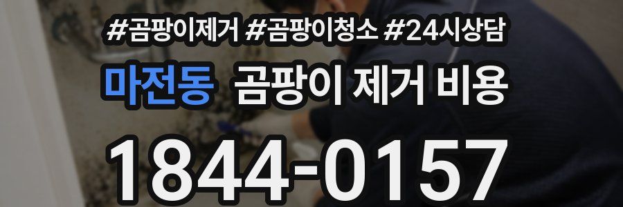마전동 곰팡이 제거 비용