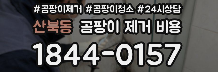 산북동 곰팡이 제거 비용