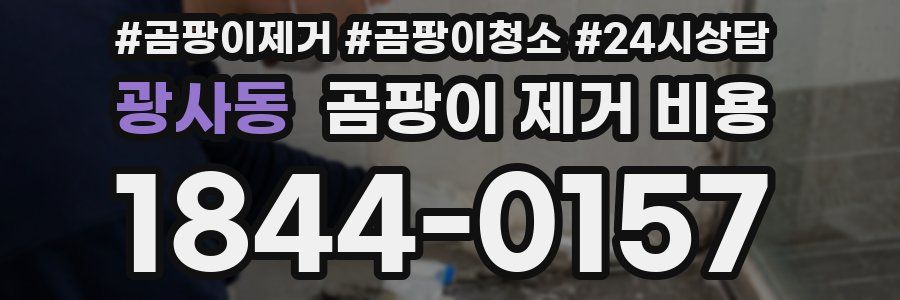 광사동 곰팡이 제거 비용