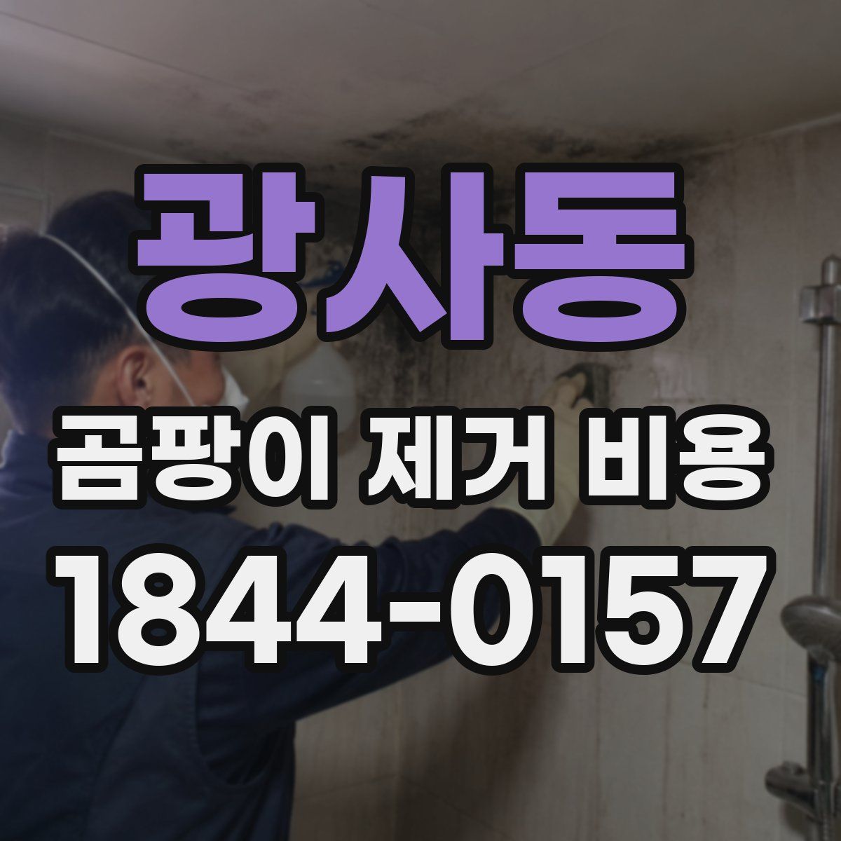 광사동 곰팡이 제거 비용