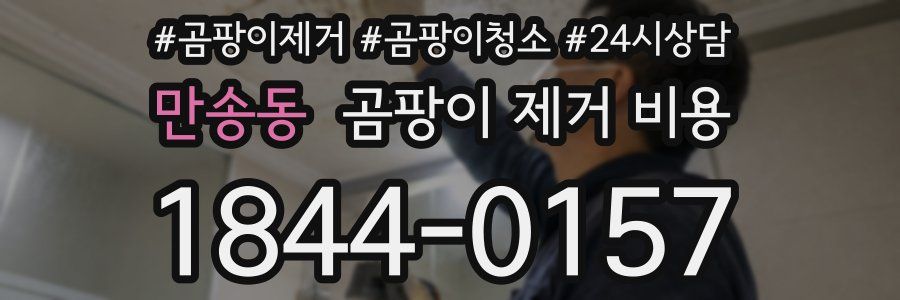 만송동 곰팡이 제거 비용