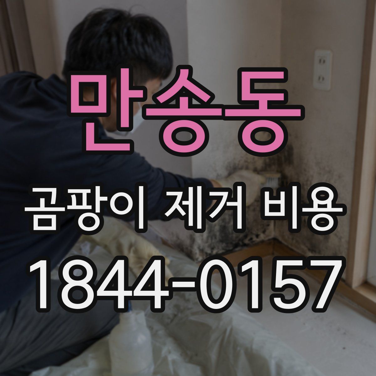만송동 곰팡이 제거 비용