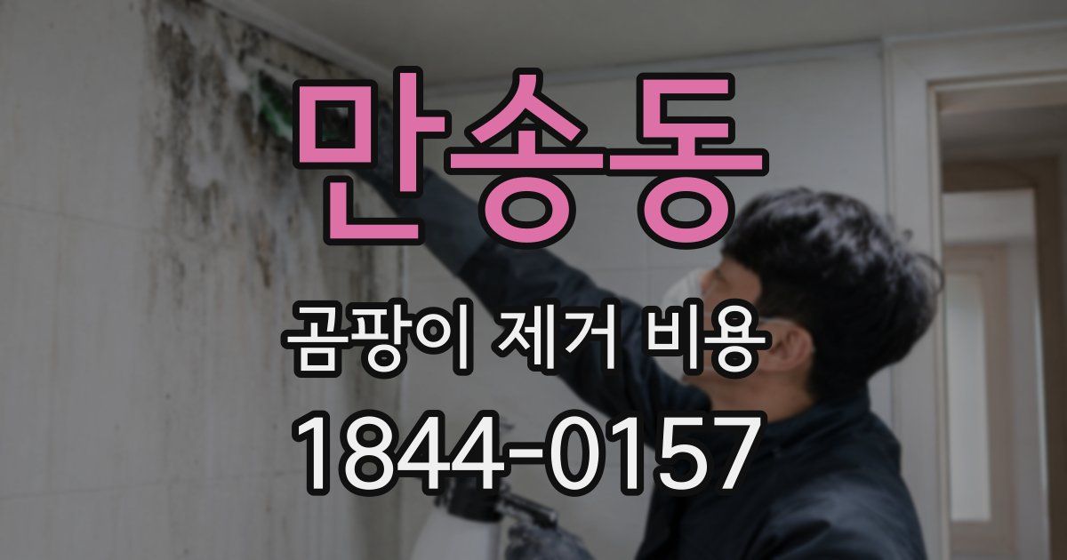 만송동 곰팡이 제거 비용