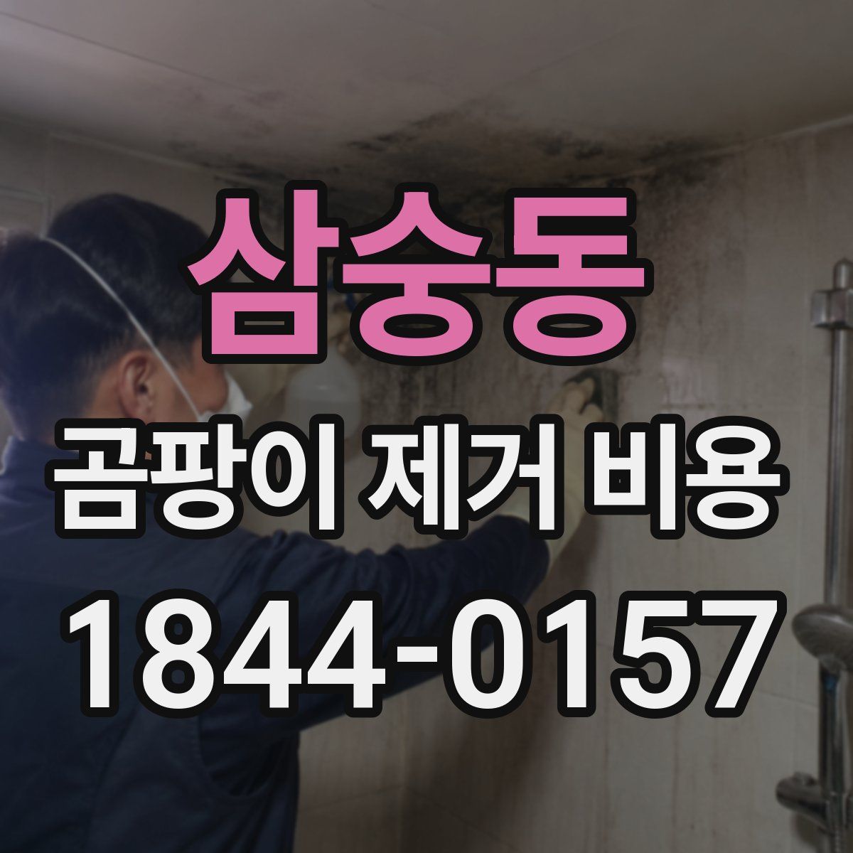 삼숭동 곰팡이 제거 비용