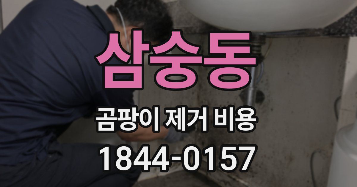 삼숭동 곰팡이 제거 비용