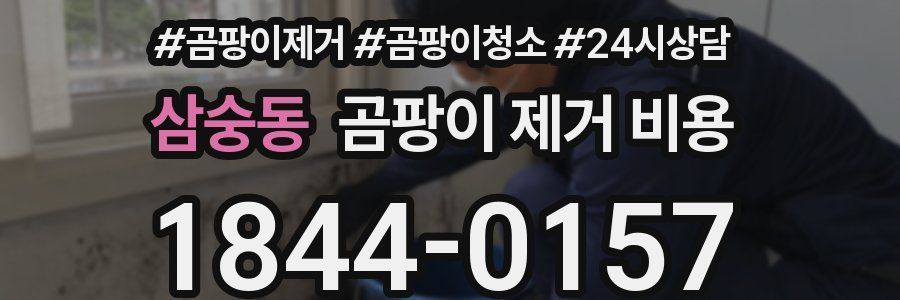 삼숭동 곰팡이 제거 비용