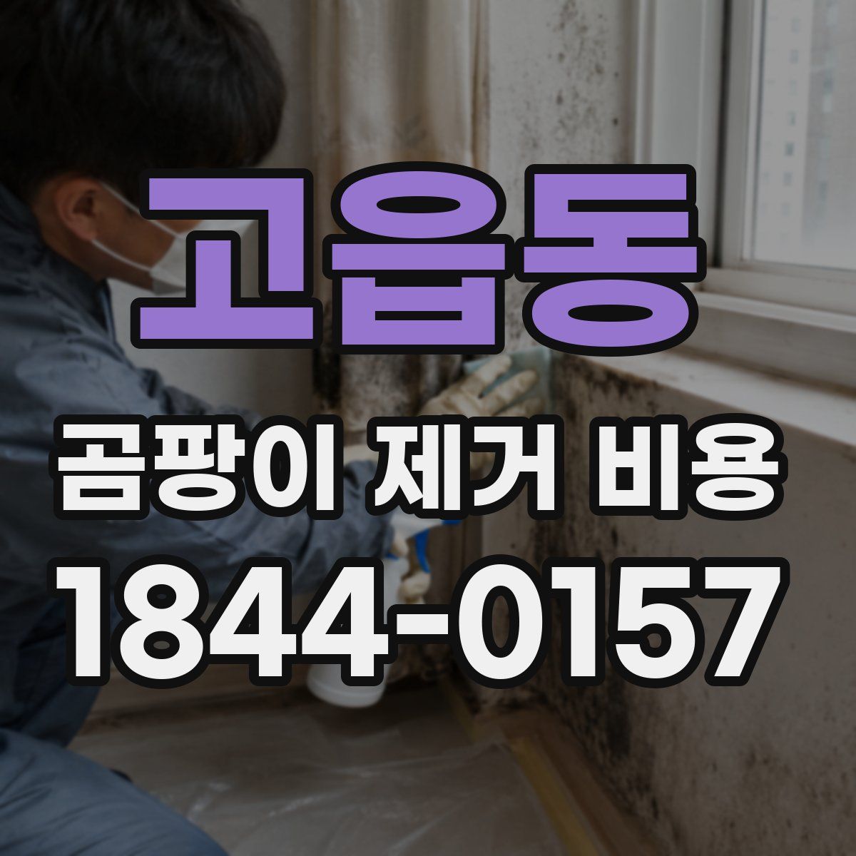 고읍동 곰팡이 제거 비용
