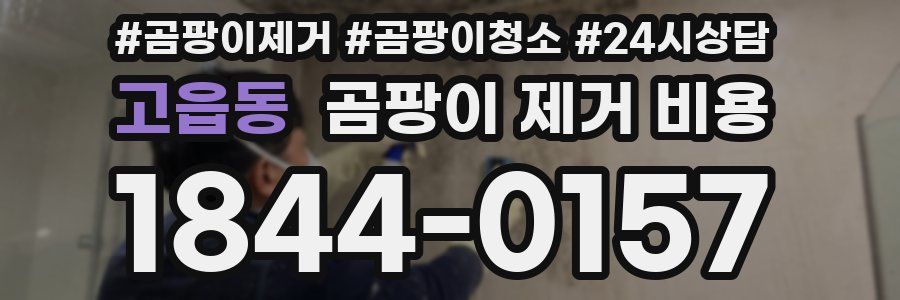 고읍동 곰팡이 제거 비용