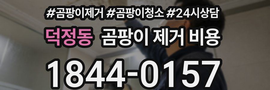 덕정동 곰팡이 제거 비용