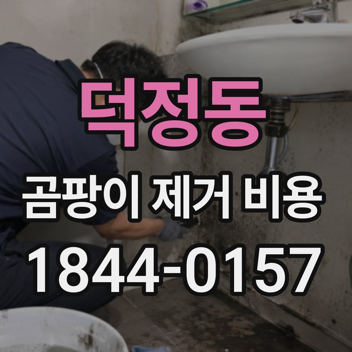 덕정동 곰팡이 제거 비용