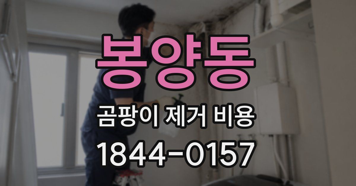 봉양동 곰팡이 제거 비용