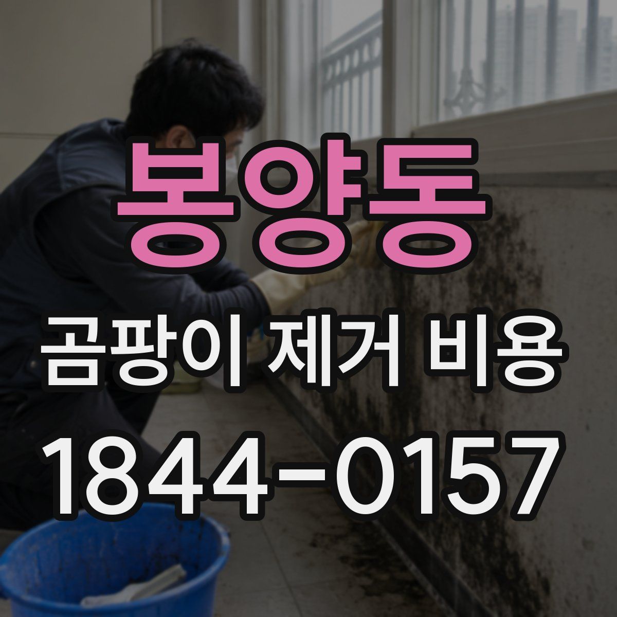 봉양동 곰팡이 제거 비용
